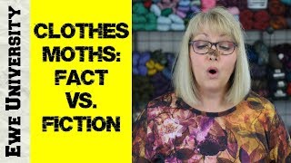 CLOTHES MOTHS FACT VS FICTION [upl. by Everard]