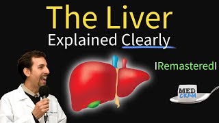 Liver Explained Function Pathology Diseases amp Cirrhosis [upl. by Uhej252]