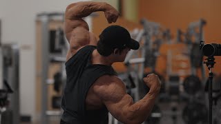 IFBB Pro Arm Workout [upl. by Namrej]