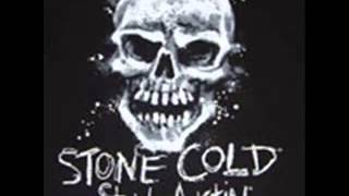 Stone Cold Steve Austin Classic Theme Song [upl. by Hallie]