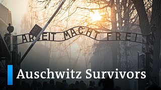 Auschwitz liberation Survivors look back  DW News [upl. by Steinway447]