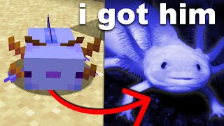 I Bought a Minecraft Axolotl in Real Life [upl. by Ellesor]