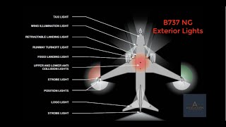 Boeing 737 NG Exterior Lights [upl. by Nnylatsirk]