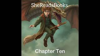 Harry Potter and the Goblet of Fire Chapter Ten  Audiobook [upl. by Darren910]