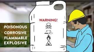 Training Video Safe use of Pesticides [upl. by Kezer172]