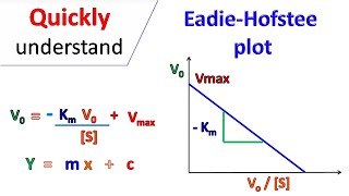 Eadie Hofstee Plot [upl. by Aniger623]