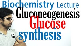 Gluconeogenesis pathway biochemistry [upl. by Giwdul]