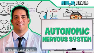 Neurology  Autonomic Nervous System [upl. by Dieter]