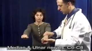 Neurological Physical Examination [upl. by Esilahs]