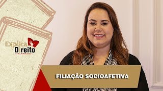 Explica Direito Filiação Socioafetiva  2019 [upl. by Say]