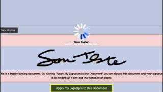 Electronic Signatures [upl. by Ecenahs596]