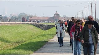 walking through auschwitz [upl. by Kared594]