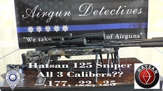 Hatsan 125 Sniper Vortex 177 22 and 25 Caliber quotFull Reviewquot by AIrgun Detectives [upl. by Aicenat]