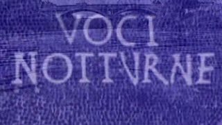 SERIE TV 1995 quotVOCI NOTTURNEquot DI PUPI AVATI [upl. by Aeht]