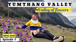 Yumthang Valley Sikkim  Valley of flowers  Lachung  North Sikkim travel vacation [upl. by Latham307]