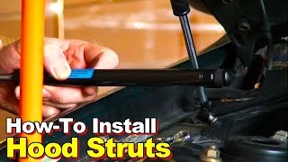 How To Install Hood Struts [upl. by Maril]