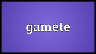 Gamete Meaning [upl. by Nosremaj]