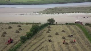 Old Style Farming  Donegal Ireland [upl. by Adlemi]