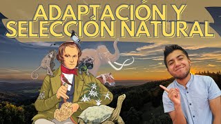 Relación entre adaptación y selección natural [upl. by Cam667]