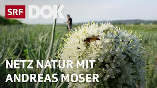 Landwirtschaft ohne Pestizide  NETZ NATUR mit Andreas Moser  DOK  SRF Wissen [upl. by Eglantine]