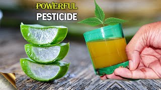 ALOE VERA  5 INGREDIENTS  POWERFUL ORGANIC PESTICIDE FORMULA  NEEM OIL ALTERNATIVE PESTICIDE [upl. by Lekkim]