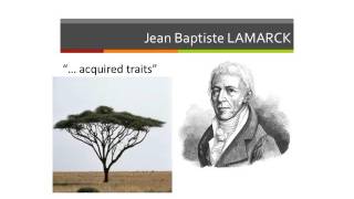 Evolution Theory L1 Lamarck [upl. by Yle]