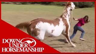 Once Bitten Twice Shy How to Train a Dangerous Dominant Horse [upl. by Frulla]