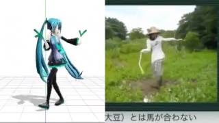 Hatsune Miku Ievan Polkka Dance Comparison [upl. by Atenek]