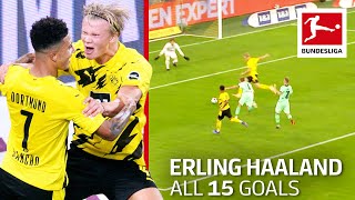 Erling Haaland  15 Goals in Only 16 Bundesliga Games [upl. by Amehsat491]