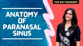 Anatomy of Paranasal Sinus [upl. by Llennahs]