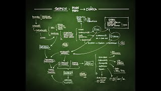 SEPSIS fisiopatología y clínica [upl. by Allissa]