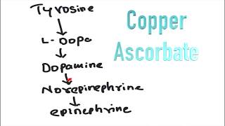 Tyrosine to Dopa Norepinephrine Epinephrine and Melanin [upl. by Nitsew]