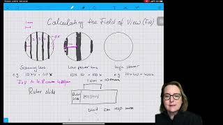 Calculating the Field of View of a Light Microscope [upl. by Sprage]