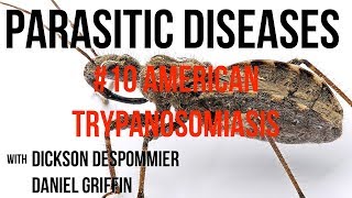 Parasitic Diseases Lectures 10 American Trypanosomiasis [upl. by Mallon471]