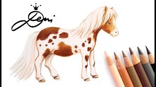 🐴Pony zeichnen🐎 Falabella malen 🐴How to Draw a Little Pony🐎 Comment dessiner un poney [upl. by Terrie782]