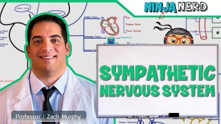 Neurology  Sympathetic Nervous System [upl. by Pietrek911]