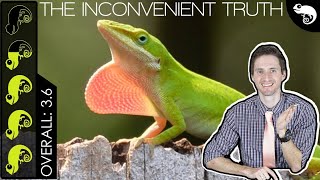 Green Anole The Best Pet Lizard [upl. by Eronel]