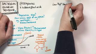 Bacterial Quorum Sensing [upl. by Airlia]