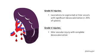 Splenic Injury [upl. by Laven282]