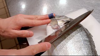 GRAPHIC  How to fillet a fish  Sea bream  Japanese technique  クロダイのさばき方 [upl. by Arel793]