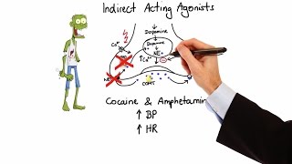 Pharmacology  ADRENERGIC RECEPTORS amp AGONISTS MADE EASY [upl. by Nuhs715]