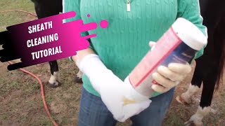 Sheath Cleaning Tutorial for Horses [upl. by Allina]