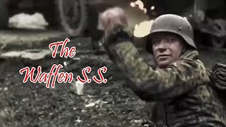 The Waffen SS Intense Combat Footage [upl. by Harte]