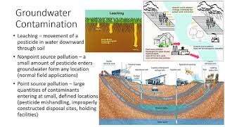 Environmental Concerns of Pesticide Use [upl. by Ilojne]