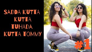 Sadda kutta kutta tuhada kutta tommy tik tok videos  sada kutta kutta tuhada kutta tommy reels [upl. by Mharg532]