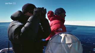 DOCUMENTAIRE  Expédition Antarctica  Sur les traces de lEmpereur HD [upl. by Tamah428]