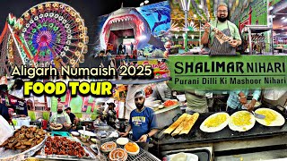 ALIGARH NUMAISH 2025 😱  Famous Food Tour Part1  Aligarh Exibition 2025trending viralvideo [upl. by Doersten]