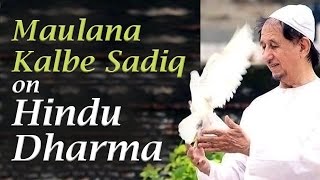 Maulana Kalbe Sadiq on Hindu Dharma at Art of Living Bangalore Ashram [upl. by Leuqcar]