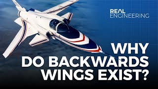 Why Do Backwards Wings Exist [upl. by Ener]