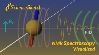 NMR spectroscopy visualized [upl. by Ecyoj957]